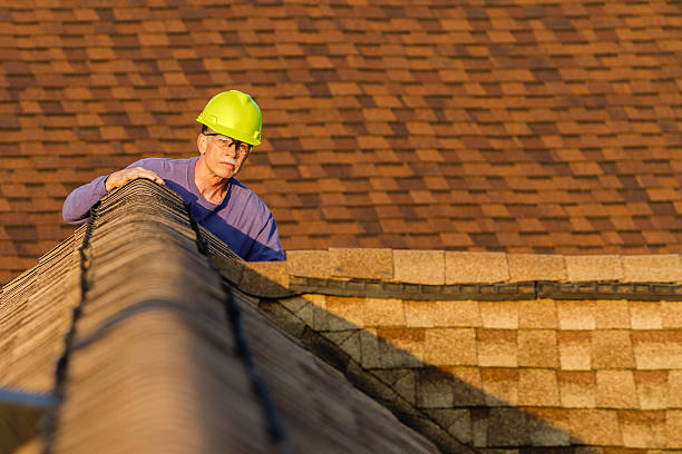 Best Flat Roof Repair Services  in Jesup, IA