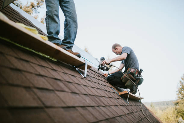 Best Storm Damage Roof Repair  in Jesup, IA