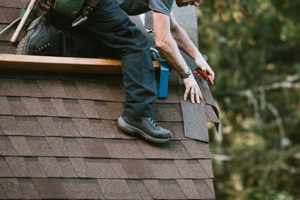 Best Roof Repair Specialists  in Jesup, IA